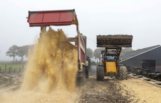Bieten en maiskolvenschroot vormen energierijk voer