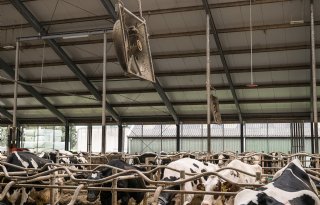 Reductielat hoger door onderschatting stalemissies