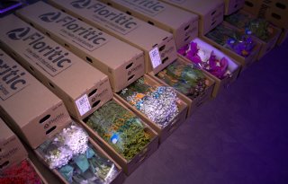 Met handelsplatform Floritic kan teler het risico delen