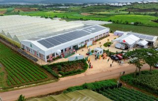 Rijk Zwaan meldt omzetstijging van 9 procent