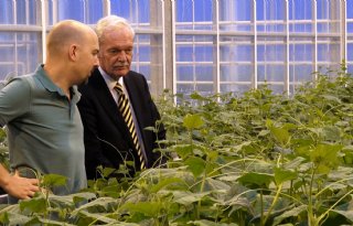 Staatssecretaris Rummenie laat zich bijpraten over resistente rassen