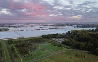 Extra controles tijdens teeltwissel bij glastuinbouwbedrijven