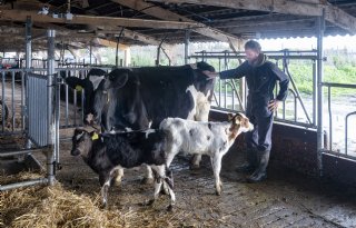 Barth-Misset Fonds zet in 2026 250.000 euro in voor meer dierenwelzijn