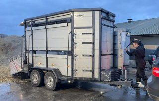 Met de veehandelaar de boer op: 'De handel en contacten zijn je levenswerk'