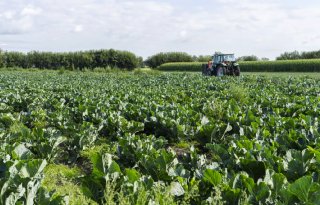 Meer generieke maatregelen dreigen rond Natura 2000-gebieden in Noord-Brabant
