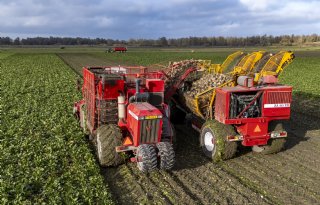 Grootste winst van 'bietenlimo' zit in het behoud van de bodem