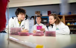 Gevaarlijke schimmel groeit waar afvalhopen blijven liggen