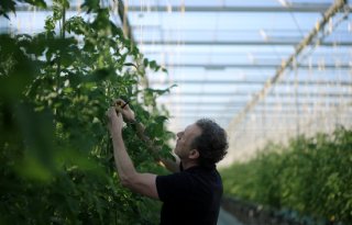 Tuinders Westland jaar lang gevolgd voor nieuwe documentaireserie