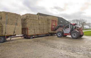 'De handel van stro aan bloembollentelers is echt nodig voor ons bedrijf'