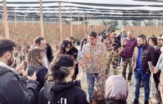 Nederlandse expertise helpt de Turkse fruitteeltsector