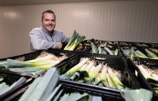 Groenteteler Janssen: 'Weleens harder gegroeid dan waar we klaar voor waren'