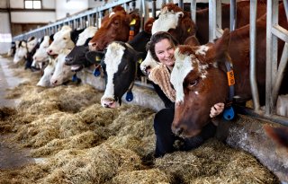 Melkveehouder Klever: 'Boeren versterken de natuur en het landschap'