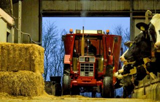 POAH! International 845 XL