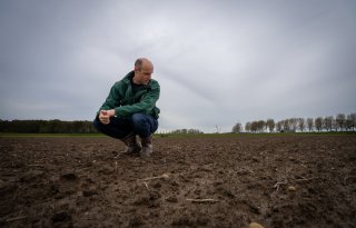 Gans is obstakel voor ondernemers die minder ploegen