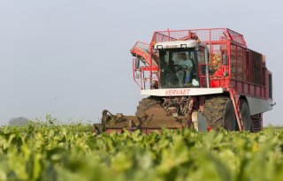Akkerbouwers doen drie jaar lang ervaring op met digestaat