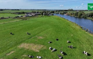 Jaaroverzicht 2025: dit had impact op de land- en tuinbouw