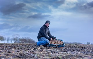 Te grote kolen of supermarkt die zich terugtrekt: telers raken afzet niet kwijt