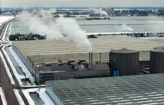 Sneeuwdruk op kassen groeit, Interpolis telt voorlopig twintig meldingen