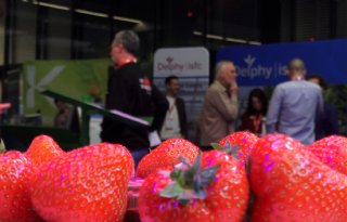 Code rood op Bossche beursvloer tijdens Aardbeiendag