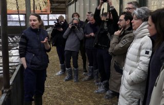 Nog veel onduidelijk over afstandscriterium huizen en geitenhouderijen