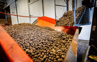 Aardappelen uitrijden mag alleen onder strikte eisen