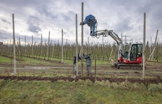 'We liggen nu in elk geval niet meer wakker van de volgende hagelbui'