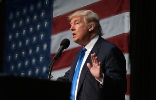 Trump verzwakt de dollar; Nederlandse export reageert verschillend