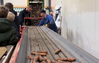 Boerenmarkt biedt oplossing voor overschot aan peen