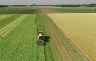 Directeur Green Organics: 'Bij genoeg vraag komt aanbod vanzelf'