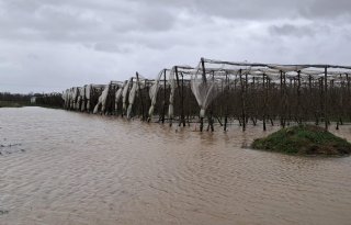 Noodweer treft Franse fruitteelt en 200 hectare kassen in Spanje
