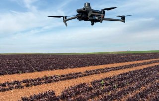 Bejo investeert in AI-bedrijf Antonie