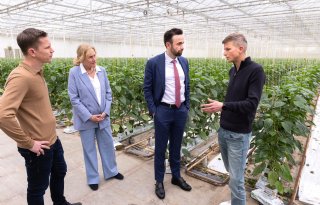 Staatssecretaris Erkens snel naar Brussel voor beschikbaarheid CO2 in de kas