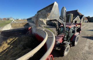 Een droom komt uit: 'Ik melk eindelijk weer mijn eigen koeien'