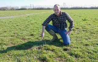 Eerste kievitsei van 2026 op graslandperceel in Ravenstein