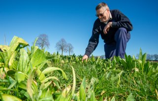 Kruidenrijk gras biedt melkveehouder winst op meerdere fronten