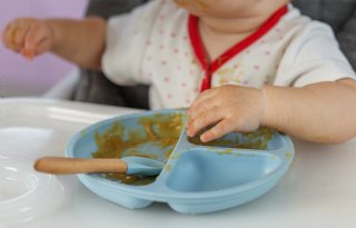 Babyhapjes bevatten weinig tot geen resten van gewasbeschermingsmiddelen