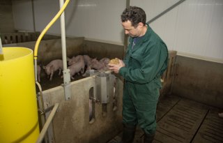 Varkenshouder baalt van vele Woo-verzoeken