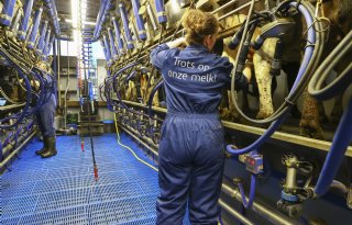 Melkprijzen omhoog, ondanks gespannen situatie