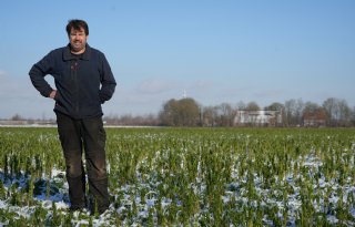 Koolstof vastleggen doe je niet voor het geld