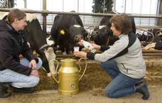 Karnemelk van Kaasboerderij Schellach lekkerste van Nederland