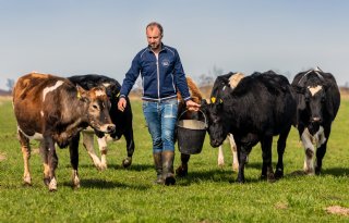 Boer Bart stopt: 'Het heeft geen zin meer om door te gaan'