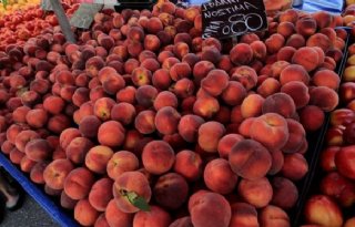 Europees Openbaar Ministerie wil fraudeonderzoek naar Griekse parlementariërs