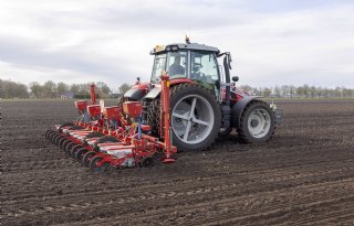 Bieten rap de grond in, maar korst remt opkomst