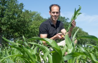 Gratis metingen helpen telers sturen op waterkwaliteit en opbrengst