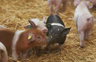 Blokkade voor opening Livar Experience Center in Maria Hoop