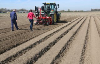 Zoektocht naar optimale uienteelt gaat verder