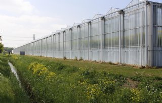 Glastuinbouw zet stappen naar betere waterkwaliteit