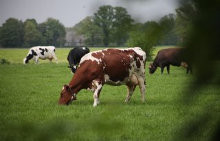 Openbare consultatie legalisatieprogramma PAS-melders geopend