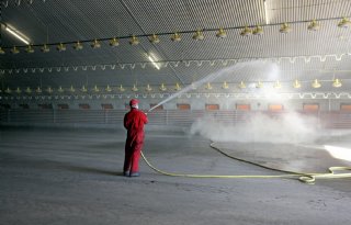 Laatste reiniging en ontsmetting na uitbraak moet binnen dertig dagen