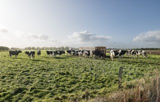 Landbouworganisaties laken legalisatieprogramma PAS-melders